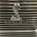 Shelby Emblem